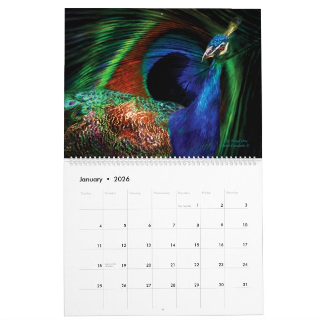 Beleza Na Natureza - Calendário De Coleção De Aves (Jan 2026)