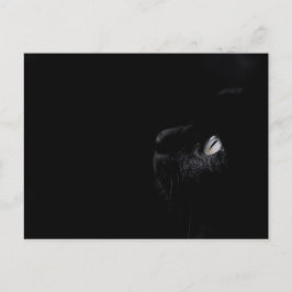 Beleza negra - Cartão postal