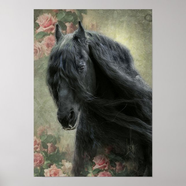 Beleza Negra Cavalo Frísia - Poster (Frente)