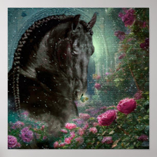Beleza Negra Cavalo Frísia - Poster