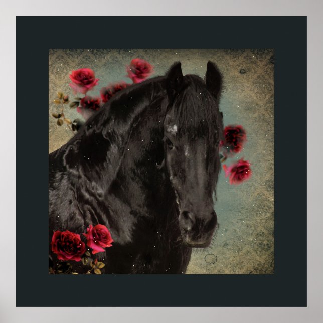 Beleza Negra Cavalo Frísia - Poster (Frente)