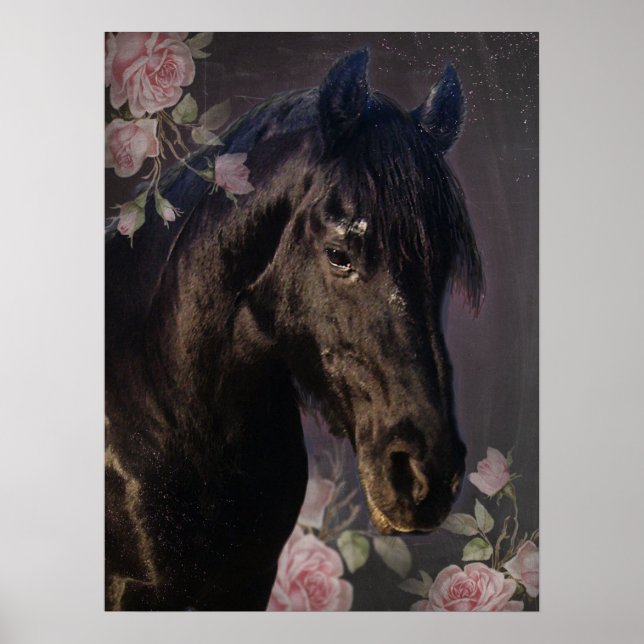 Beleza Negra Cavalo Frísia - Poster (Frente)