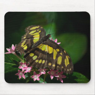 Beleza no Stars Mousepad