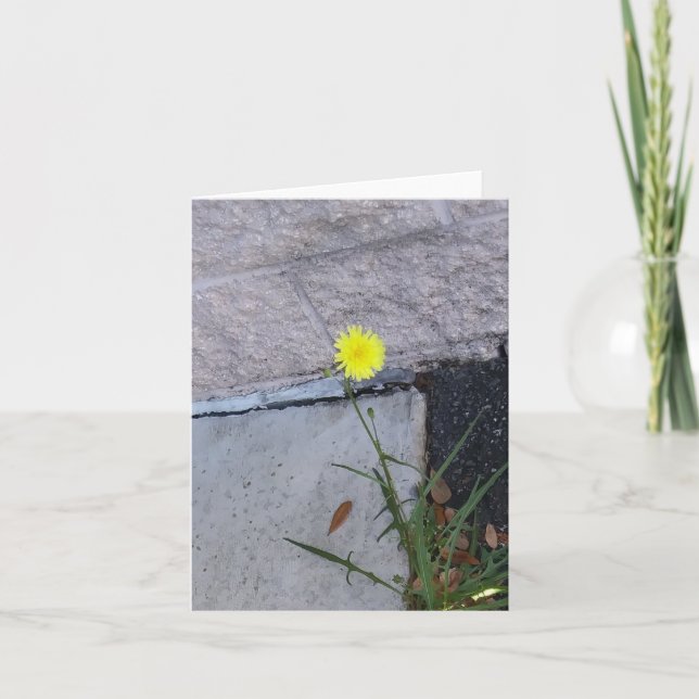 Beleza Teórica 2 num cartão de nota (Frente)