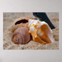 Belezas de praia quebradas #2 Poster