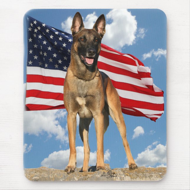 Belga Malinois com mousepad da bandeira (Frente)