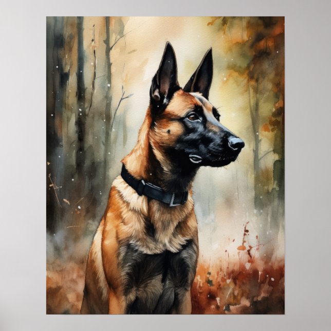 Belga Malinois Dog Art Impressão Poster (Frente)