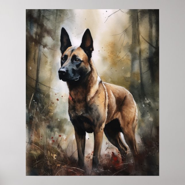 Belga Malinois Dog Art Impressão Poster (Frente)