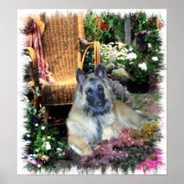 Belga Tervuren Art Impressão
