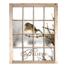 BELIEVE POSTER - AVE ATRAVÉS DA JANELA