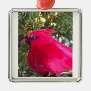 ***BELÍSSIMO CARDINAL*** ENFEITE DE NATAL DO AMOR