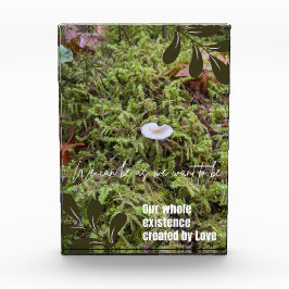 Belknap Mushroom com citação