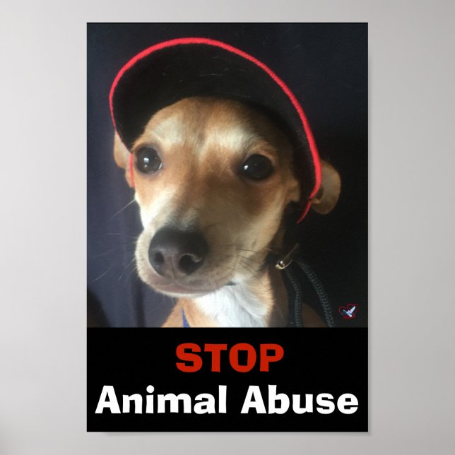 BELLA STOP ANIMAL ABUSE POSTER (Frente)