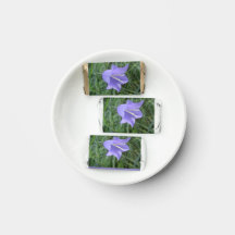Bellflower