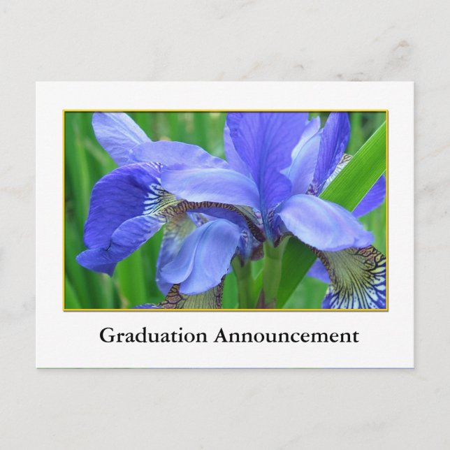 Belo anúncio de formatura de flor de íris azul (Frente)