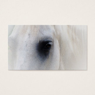 Belo Armamento de Cavalo Branco