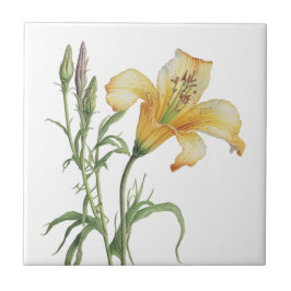 Belo Azulejo de cerâmica botânica Lily Vintage