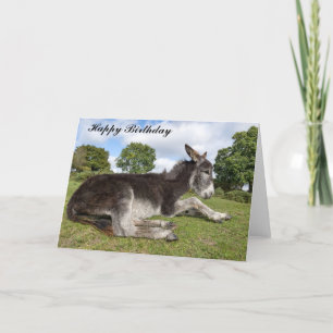 Belo bebê Donkey - Cartão de Aniversário