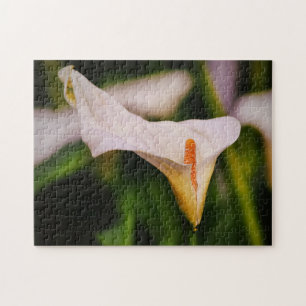 Belo Blooming Calla Lily Garden Quebra-cabeça