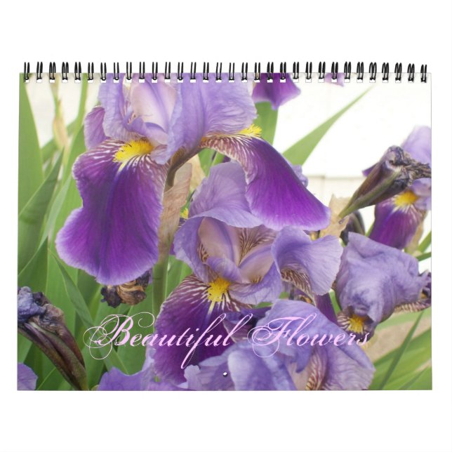 Belo Calendário das Flores (Capa)