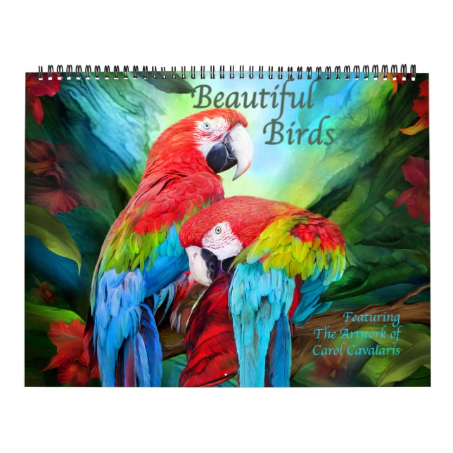 Belo Calendário de Arte de Pássaros (Capa)