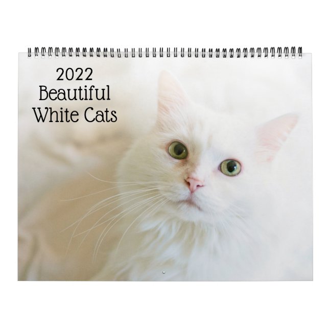 Belo Calendário de Gatos Brancos 2022 (Capa)