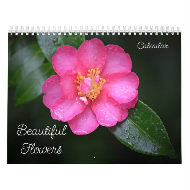 Belo Calendário Floral das Flores (Capa)