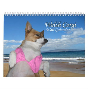 Belo Calendário Welsh Corgi