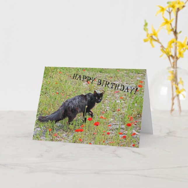 Belo Cartão de Aniversário de Gato Negro! (Flor Amarela)