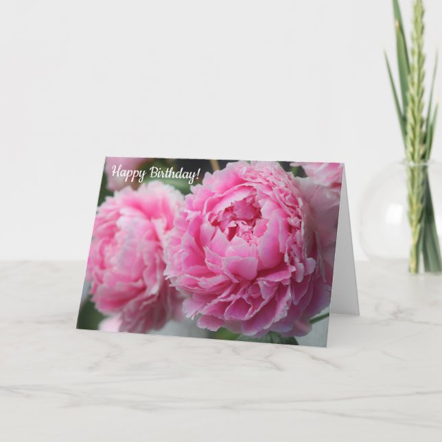Belo Cartão de Aniversário de Peony Rosa Rosa (Frente)