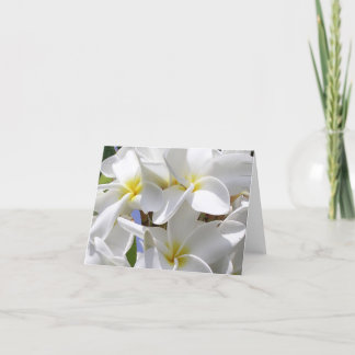 Belo Cartão de Nota da Plumeria Havaiana