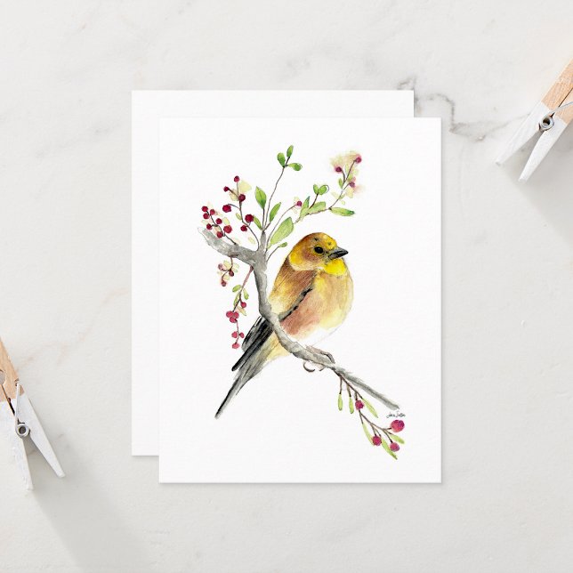 Belo Cartão de Nota de Passageiro Goldfinch Americ (Beautiful American Goldfinch Songbird Blank Note Cards from Jenn Steffen Art)
