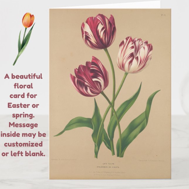 Belo Cartão de Páscoa Vintage Tulips (A beautiful vintage tulips card for Easter or any occasion.)