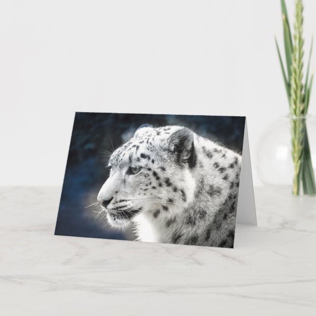 Belo Cartão de Saudação do Leopardo da Neve (Frente)
