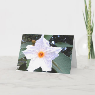 Belo cartão de saudação do Vazio Flor Branco