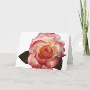 Belo cartão de saudação Rosa.