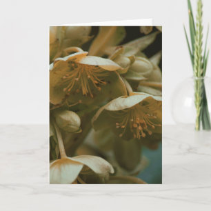 Belo cartão de vazio floral para fotografia