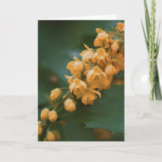 Belo cartão de vazio para fotografia de flores