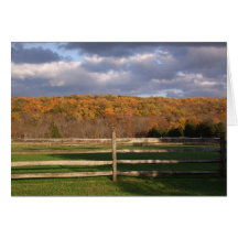 Belo Cartão Personalizado de Fotografia de Cores d