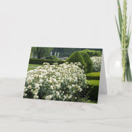 Belo Cartão Personalizado de Fotografia Floral de
