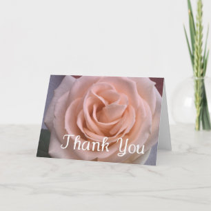 Belo Cartões de agradecimentos rosa rosa pálido