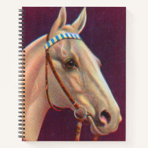 belo cavalo branco