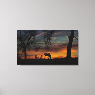 Belo Cavalo e Canvas de carvalho