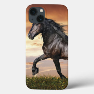 Belo Cavalo Negro