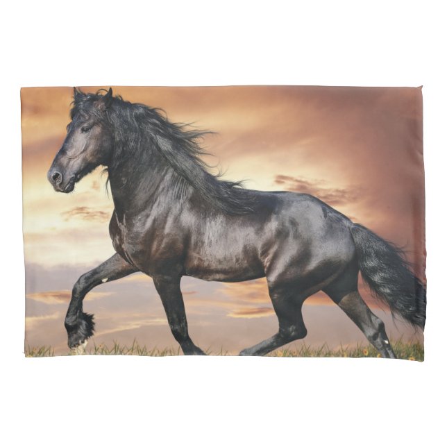 Belo Cavalo Negro (Frente-Esquerda)