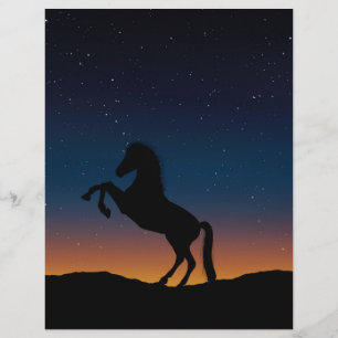 BELO CAVALO STALLION