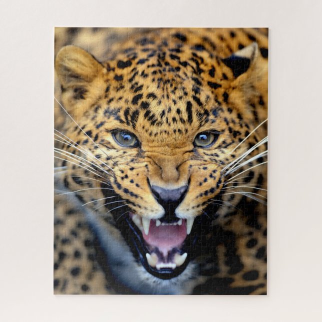 Belo colapso do Leopardo, Quebra-cabeça do serrote (Vertical)