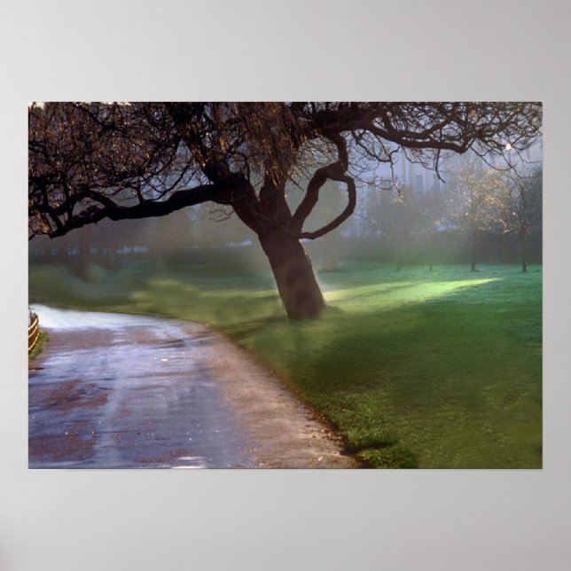 Belo dia de poster (Frente)