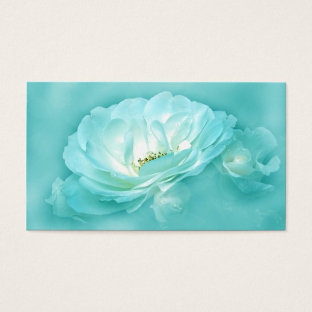 Belo Equino (Frente)