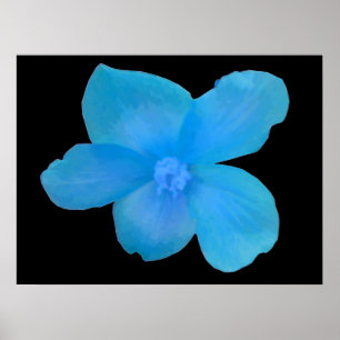 Belo Impressão de Flor da Begónia Azul
